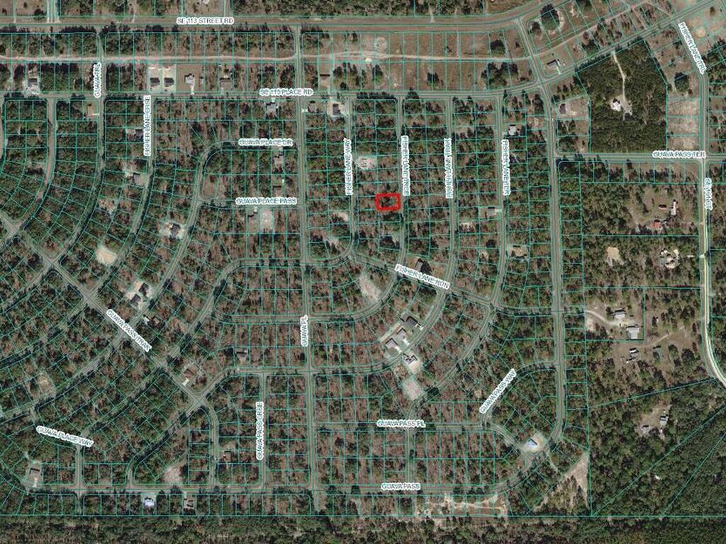 Tbd0001 Fisher Lane Terrace, Ocklawaha, FL 32179