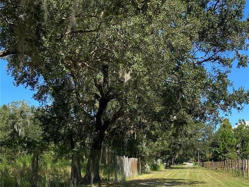 Lot 14 Laurel Oak Avenue, Mims, FL 32754