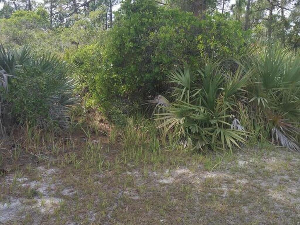 Unknown Unknown, Cocoa, FL 32926