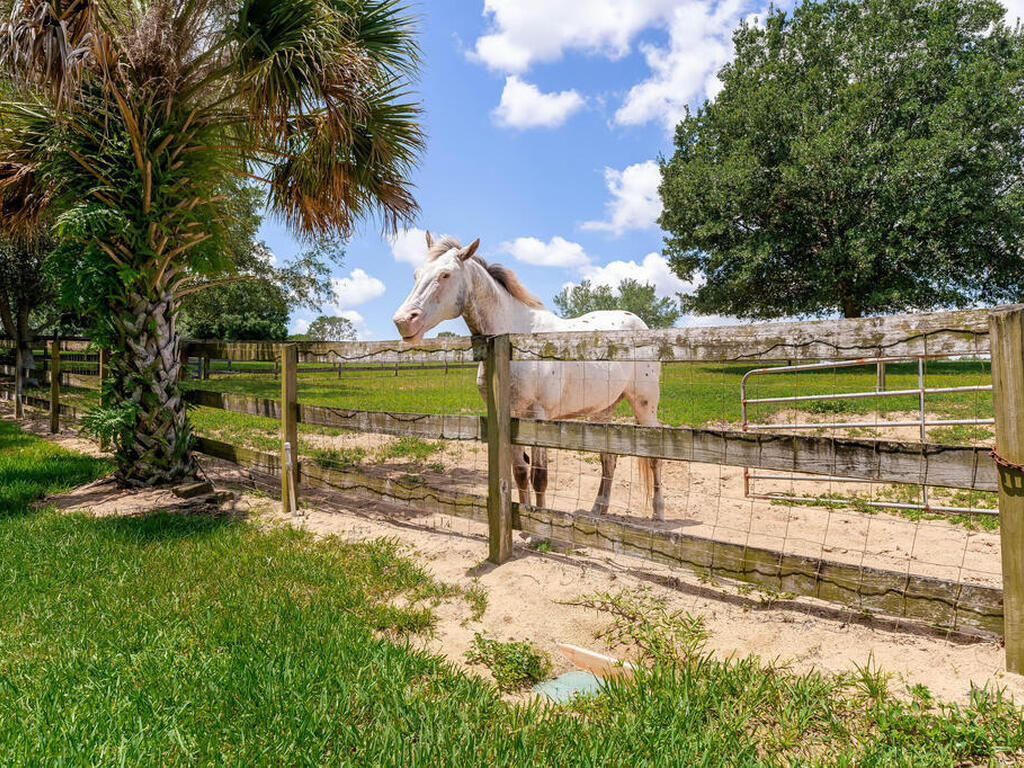 16649 Appaloosa Trail, Minneola, FL 34715