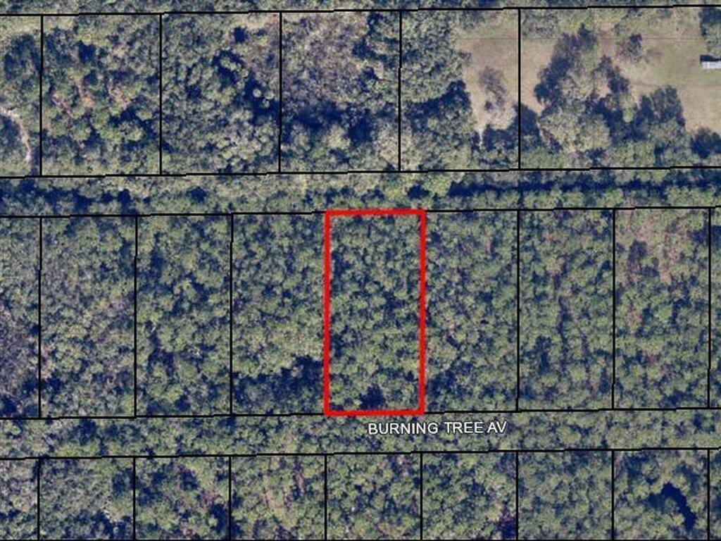 Burning Tree Avenue, Cocoa, FL 32926