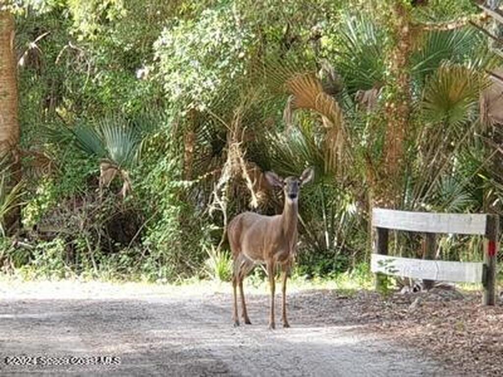 32801 N Us Hwy 441, Okeechobee, FL 34972