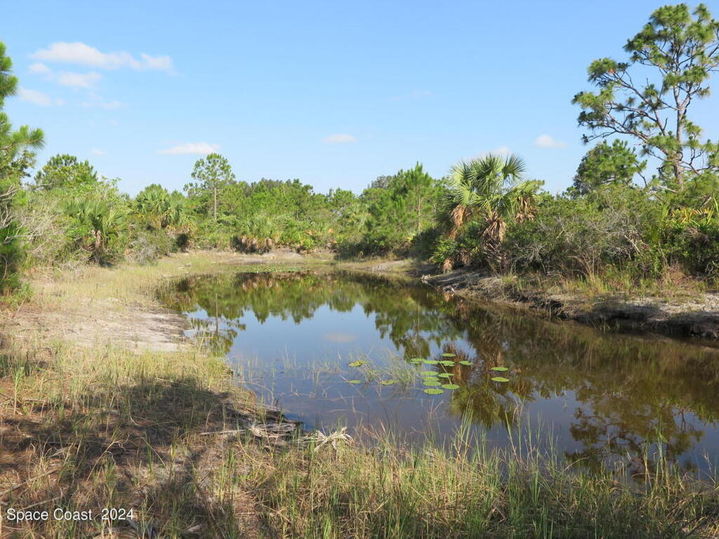 0000 Fleming Grant Road, Micco, FL 32976