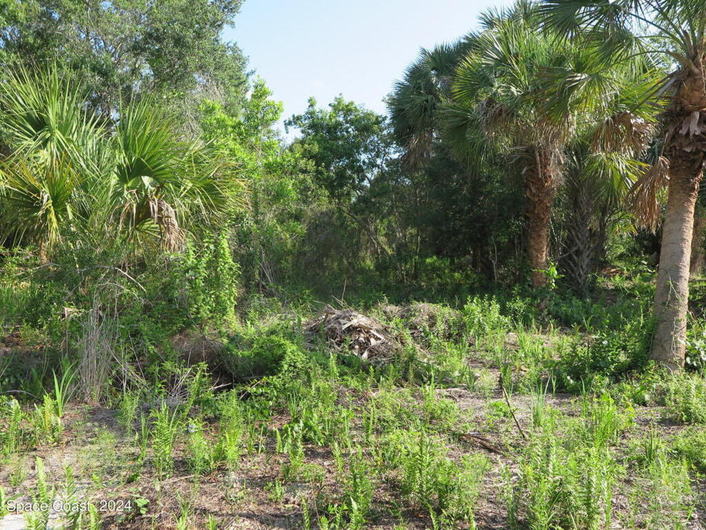 0000 Fleming Grant Road, Micco, FL 32976