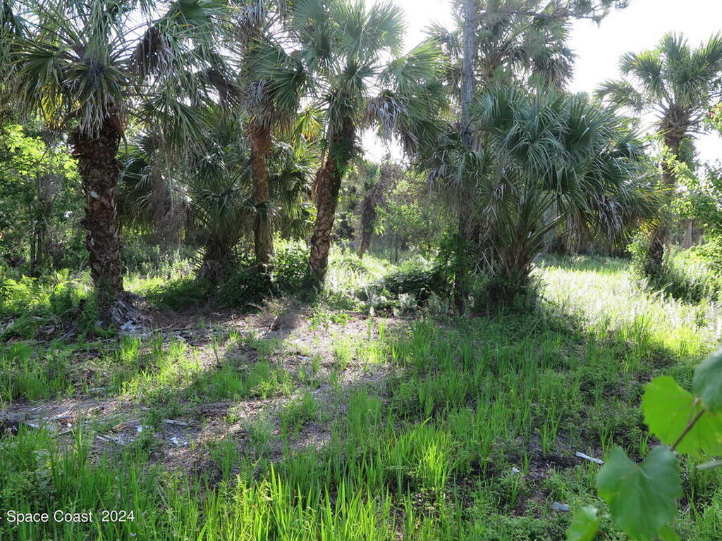 0000 Fleming Grant Road, Micco, FL 32976