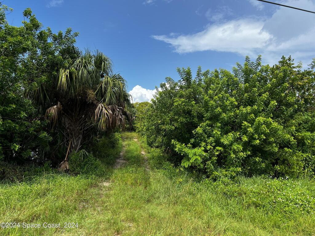 Judson, Merritt Island, FL 32953