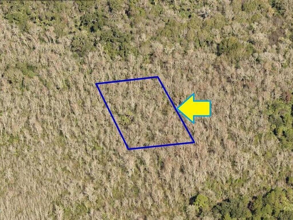 0000 No Access - Lot 4.03, Mims, FL 32754