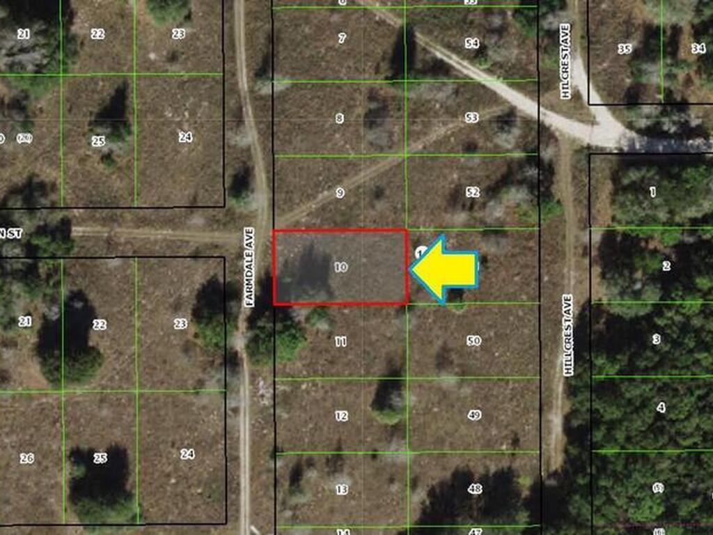 1014 Farmdale Avenue, Inverness, FL 34453