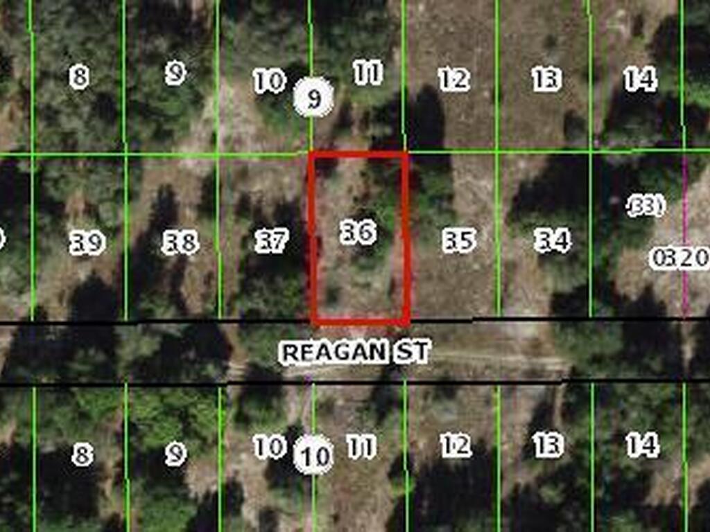 2412 Reagan Street, Inverness, FL 34453