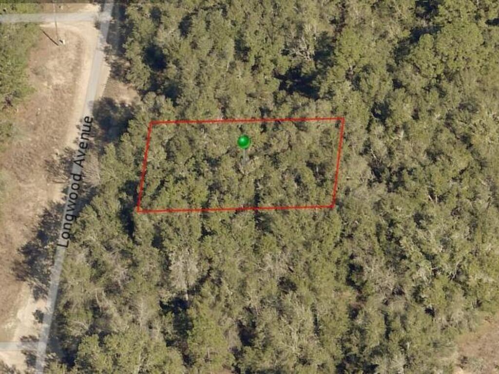 706 Longwood Avenue, Inverness, FL 34453