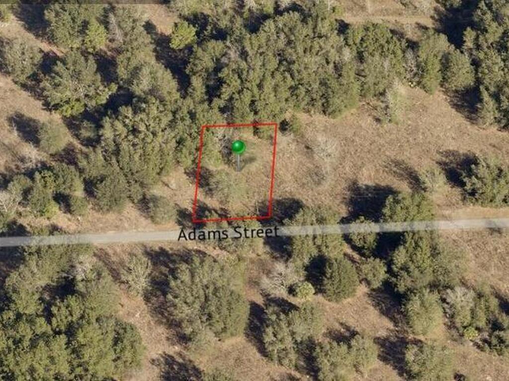 2402 Adams Street, Inverness, FL 34453