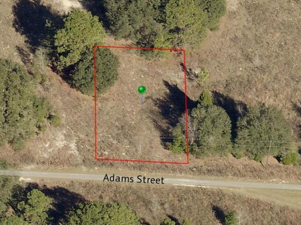 2412 Adams Street, Inverness, FL 34453