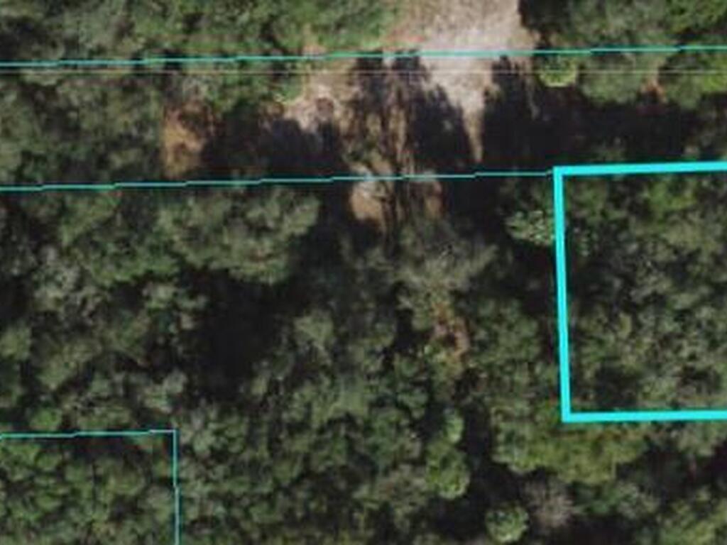 NE 116th Terrace, Fort McCoy, FL 32134