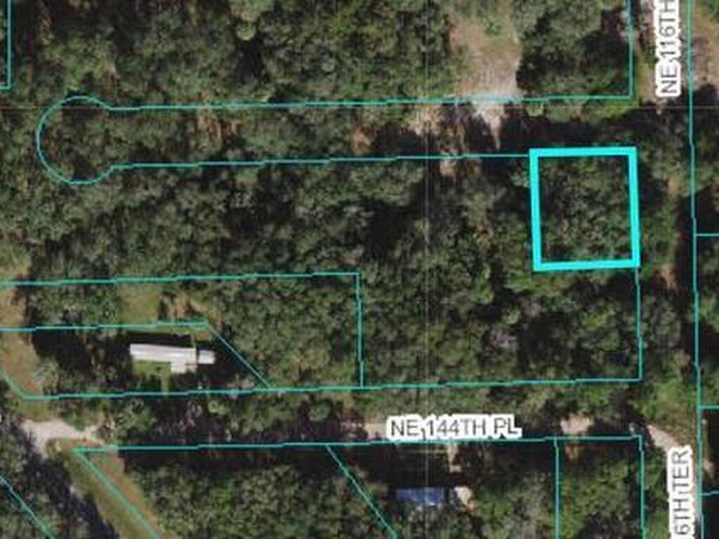 NE 116th Terrace, Fort McCoy, FL 32134