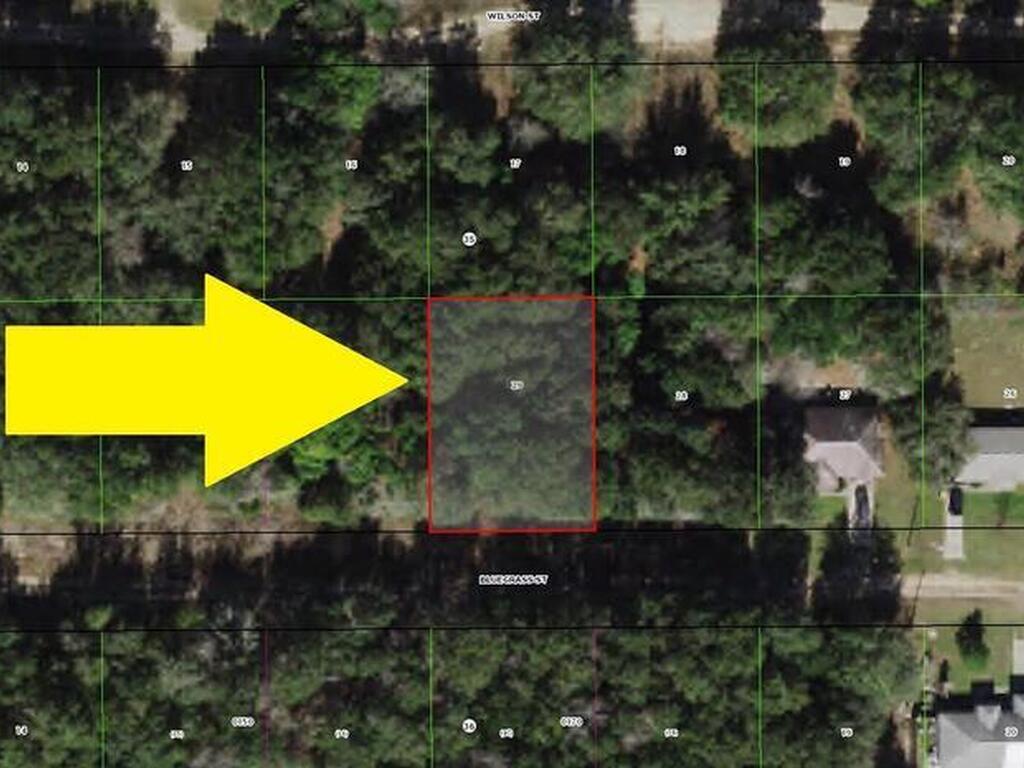 2218 Bluegrass Street, Inverness, FL 34453