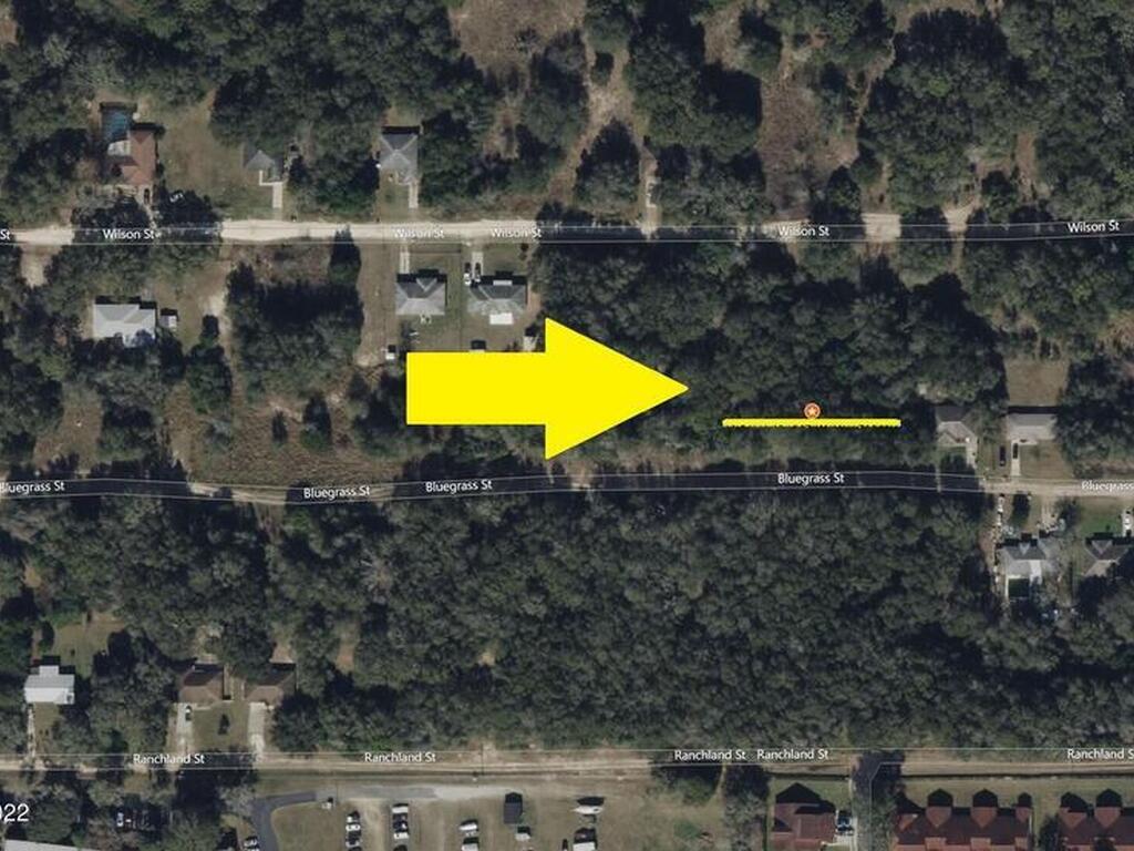 2218 Bluegrass Street, Inverness, FL 34453