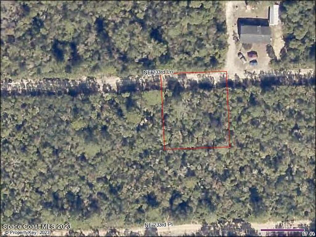 NE 233rd Lane, Fort McCoy, FL 32134