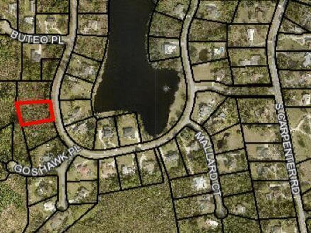 3906 Rambling Acres Drive, Titusville, FL 32796