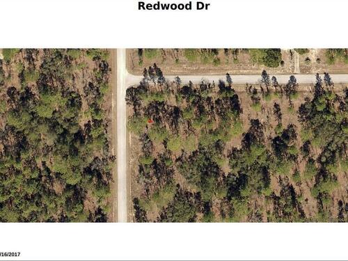 Redwood Drive